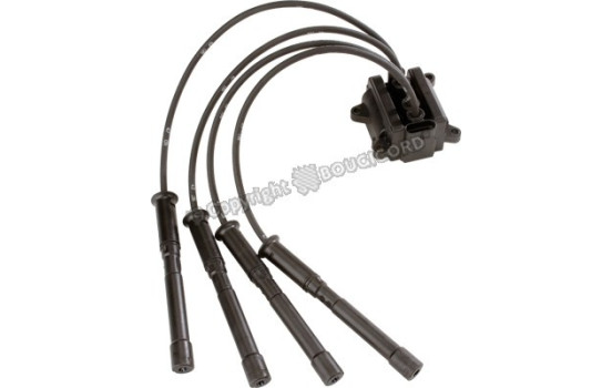 Ignition Coil EFI - BOUGICORD 151405 EFI Automotive