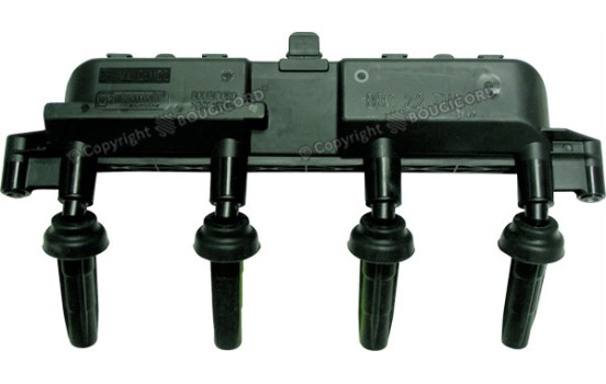 Ignition Coil EFI - BOUGICORD 154303 EFI Automotive