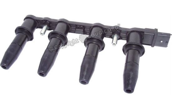 Ignition Coil EFI - BOUGICORD 155039 EFI Automotive