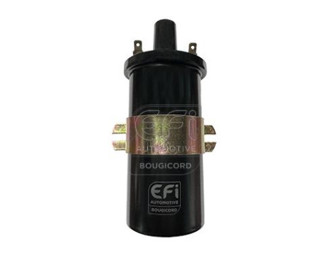 Ignition Coil EFI - BOUGICORD 155266 EFI Automotive