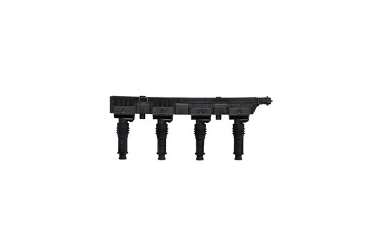 Ignition Coil GN10204-12B1 Delphi