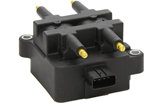 Ignition Coil GN10220-12B1 Delphi