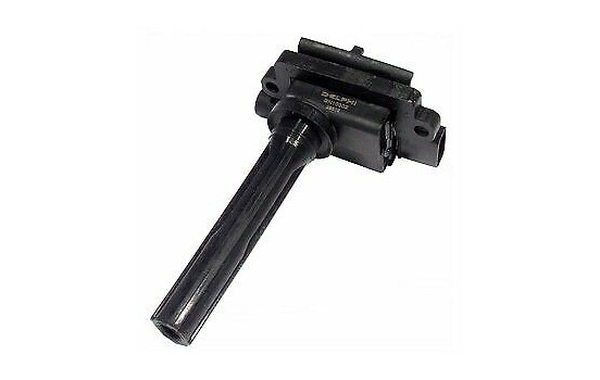 Ignition Coil GN10302-12B1 Delphi