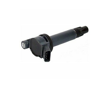 Ignition Coil GN10316-12B1 Delphi