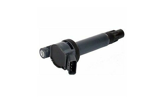 Ignition Coil GN10316-12B1 Delphi