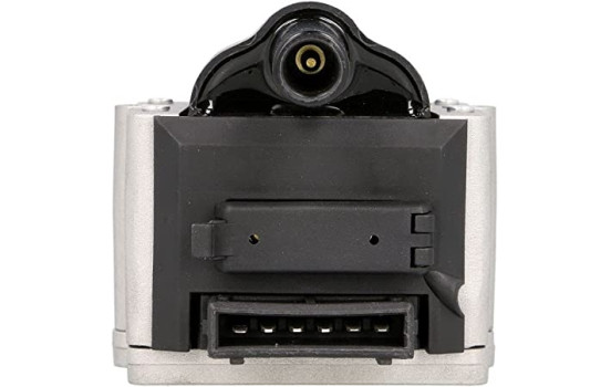 Ignition Coil GN10378-12B1 Delphi