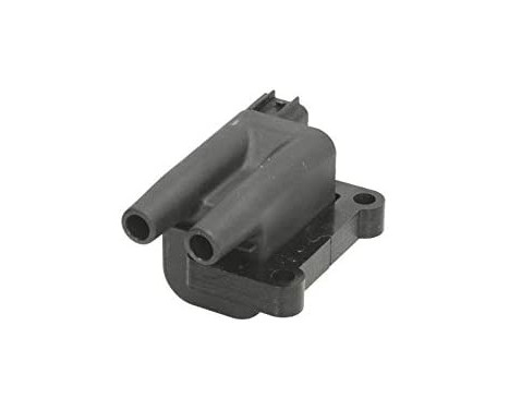 Ignition Coil GN10396-12B1 Delphi