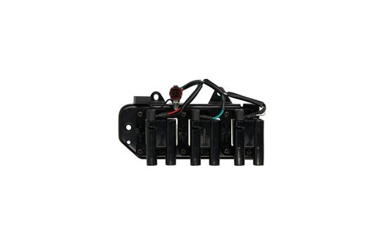 Ignition Coil GN10417-12B1 Delphi