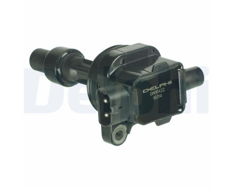 Ignition Coil GN10422-12B1 Delphi