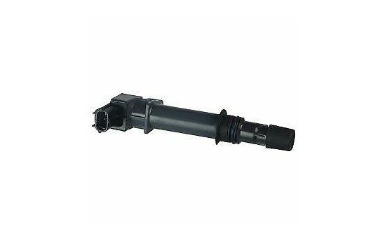 Ignition Coil GN10456-12B1 Delphi
