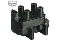 Ignition Coil GN10487-12B1 Delphi