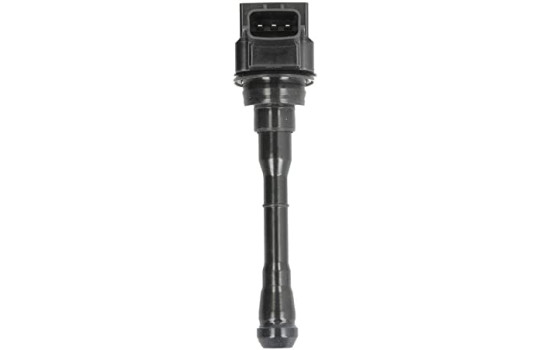 Ignition Coil GN10614-12B1 Delphi