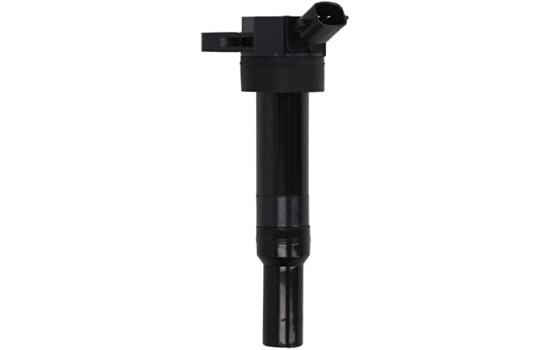 Ignition Coil GN10633-12B1 Delphi