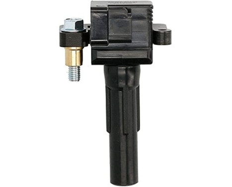 Ignition Coil GN10698-12B1 Delphi