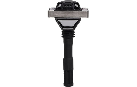 Ignition Coil GN10781-12B1 Delphi