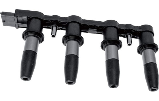 Ignition Coil Made in Italy - OE Equivalent 9.6350 Facet