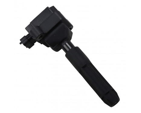 Ignition Coil ZS041 Borgwarner Beru