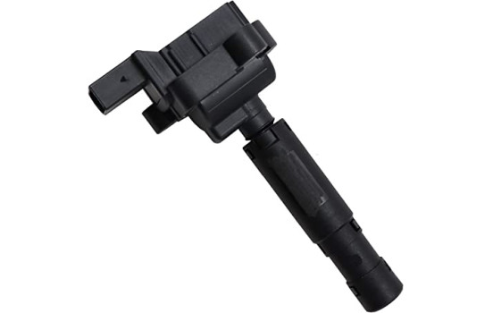 Ignition Coil ZS077 Borgwarner Beru