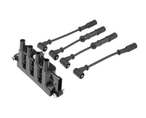 Ignition coil ZS079A Borgwarner Beru