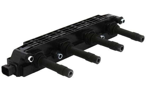 Ignition Coil ZS259 Borgwarner Beru