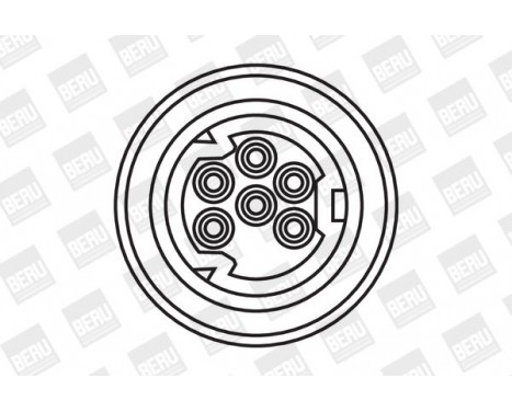 Ignition Coil ZS307 Borgwarner Beru, Image 4