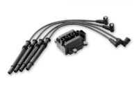 Ignition Coil ZS375 Borgwarner Beru