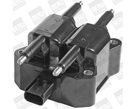 Ignition coil ZS379 Borgwarner Beru