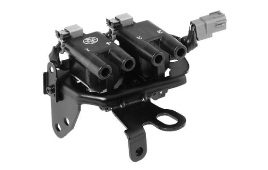 Ignition Coil ZS482 Borgwarner Beru