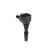 Ignition coil ZS596 Borgwarner Beru