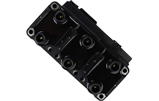 Ignition Coil ZSE004 Borgwarner Beru, Image 2