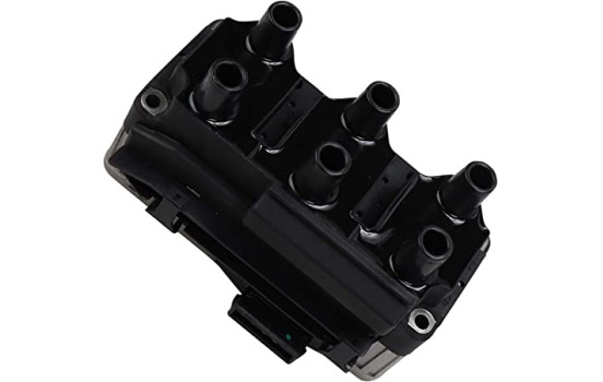 Ignition Coil ZSE004 Borgwarner Beru