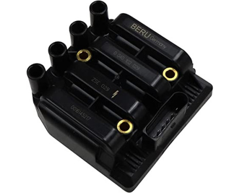 Ignition Coil ZSE029 Borgwarner Beru