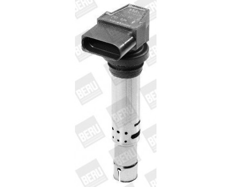 Ignition Coil ZSE030 Borgwarner Beru, Image 3