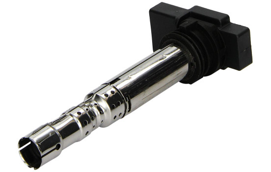 Ignition Coil ZSE031 Borgwarner Beru