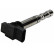 Ignition Coil ZSE031 Borgwarner Beru, Thumbnail 2