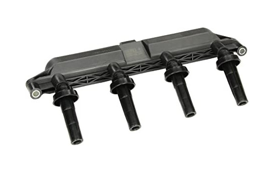 Ignition Coil ZSE047 Borgwarner Beru
