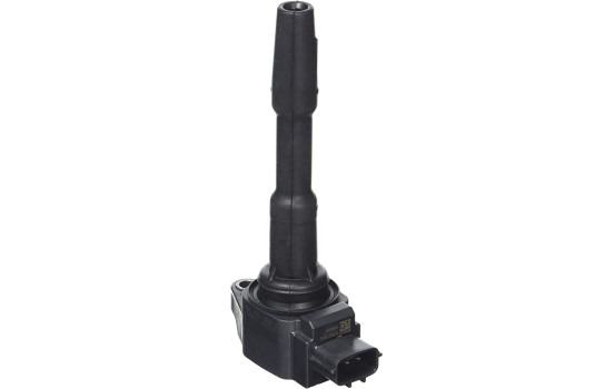 Ignition Coil ZSE131 Borgwarner Beru