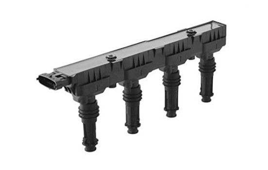 Ignition Coil ZSE147 Borgwarner Beru