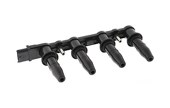 Ignition Coil ZSE149 Borgwarner Beru