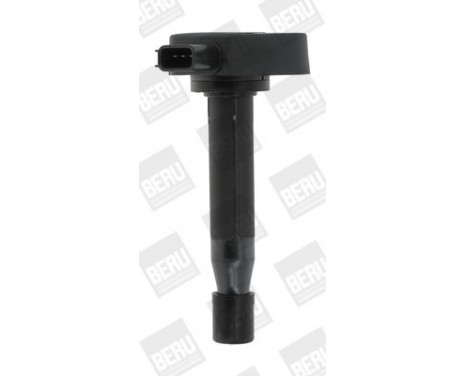 Ignition Coil ZSE166 Borgwarner Beru, Image 2