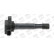 Ignition Coil ZSE170 Borgwarner Beru, Thumbnail 2