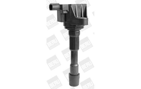 Ignition Coil ZSE176 Borgwarner Beru