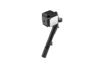 Ignition coil ZSE242 Borgwarner Beru