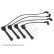 Ignition Cable Kit ADG01616 Blue Print, Thumbnail 2