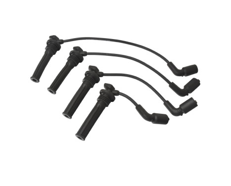 Ignition Cable Kit ADG01656 Blue Print