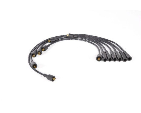 Ignition Cable Kit B011 Bosch