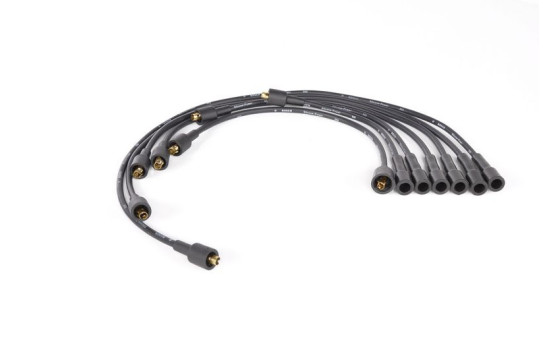 Ignition Cable Kit B011 Bosch