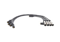 Ignition Cable Kit B304 Bosch