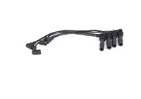 Ignition Cable Kit B308 Bosch