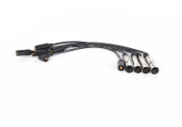 Ignition Cable Kit B317 Bosch